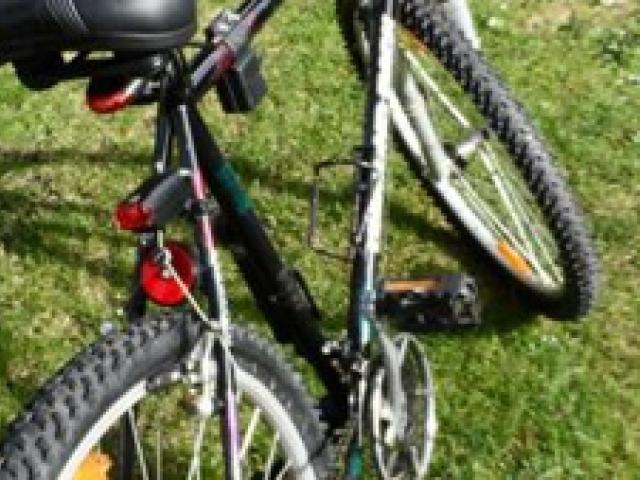 MTB Fahrrad Diamond Back, Old School, sehr guter Zustand - 1